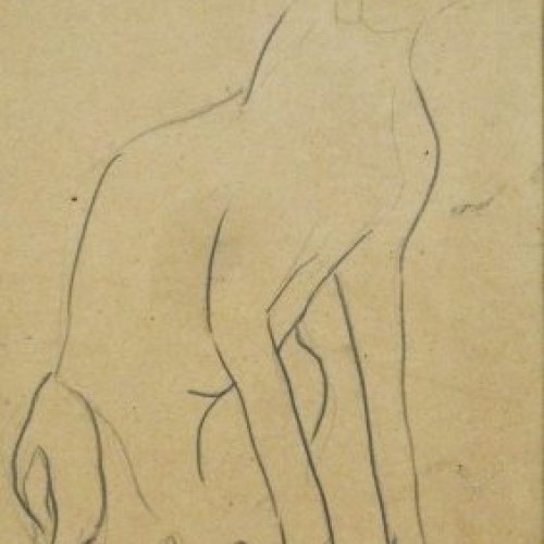 Sketch of dog