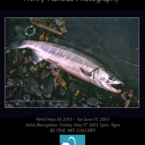 Catch & Release