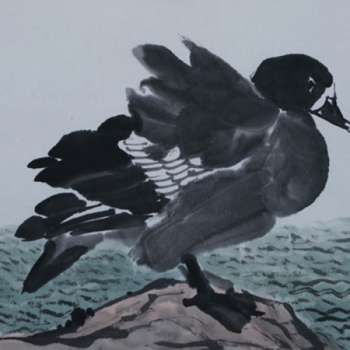 Duck