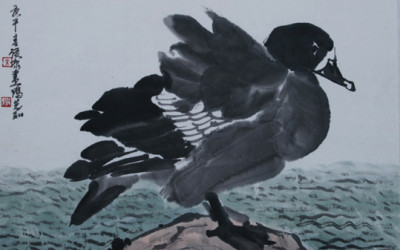 Duck