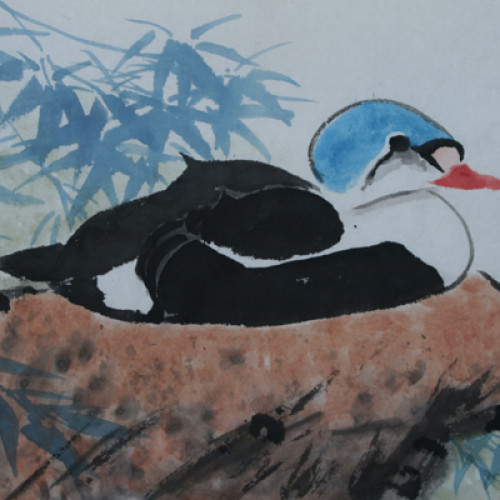 Duck