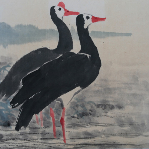Wild Duck