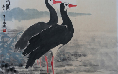 Duck 