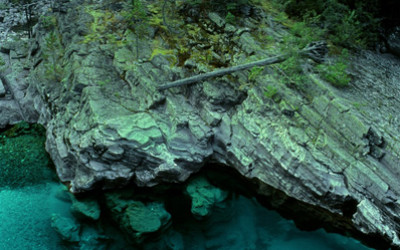 Edge of the Water