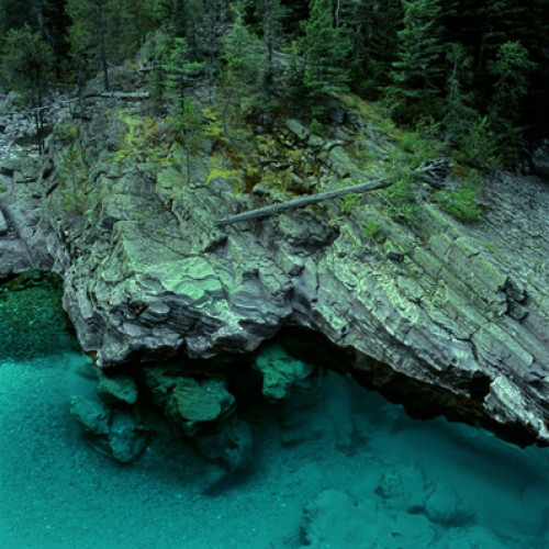 Edge of the Water