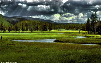 Gibbon River