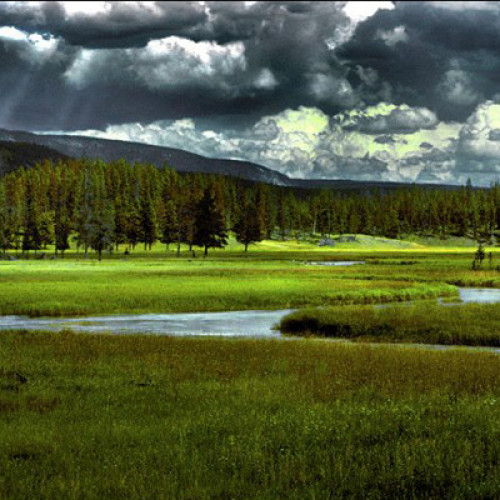 Gibbon River