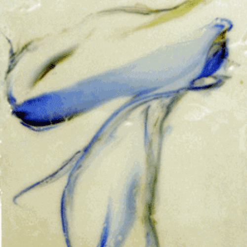 JudyHintzCox-0017