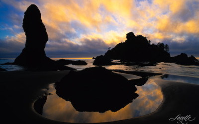 Point of Arches