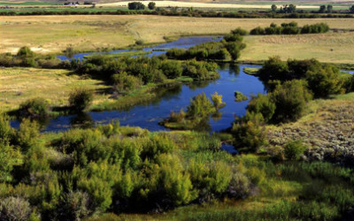 Silver Creek
