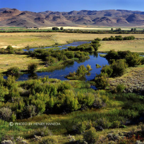 Silver Creek