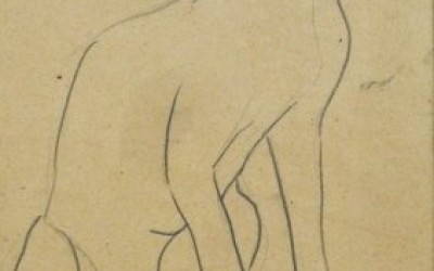 Sketch of dog