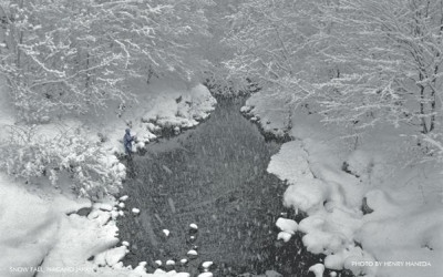 Snow Fall