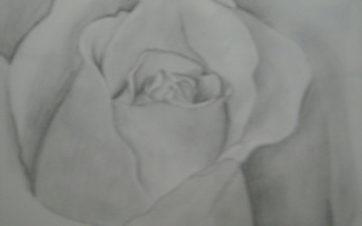 Tacoma6
