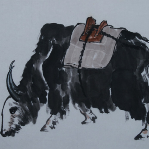 Yak