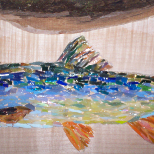 Yellowfin Cutthroat