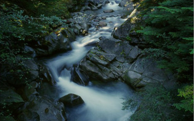 Zen Water