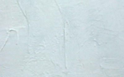 mindwilddetail1---Copy---Co