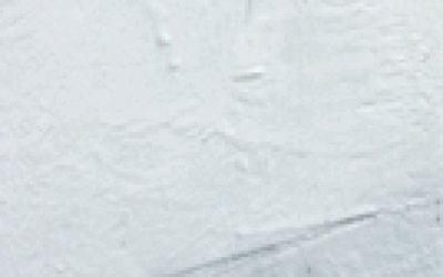 mindwilddetail2---Copy---Co