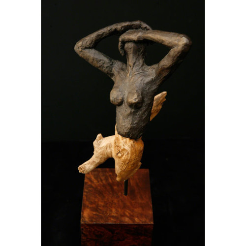 salgado-francisco-ferviente-4848 (1)