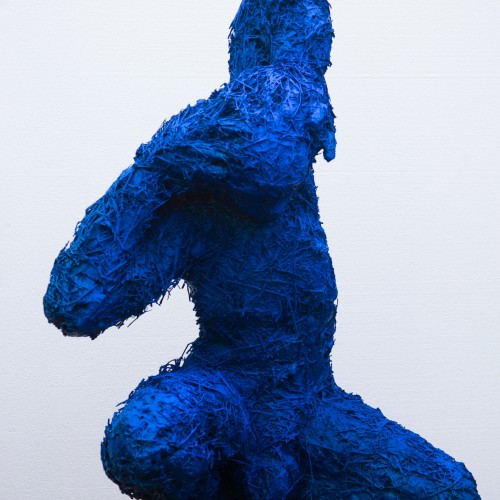 salgado_azul_2301_300dpi[1]