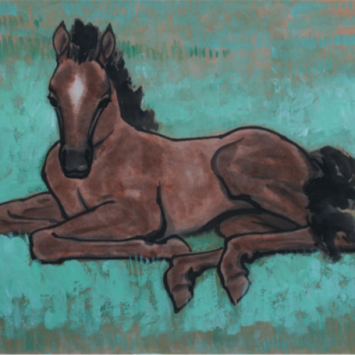 Young Horse