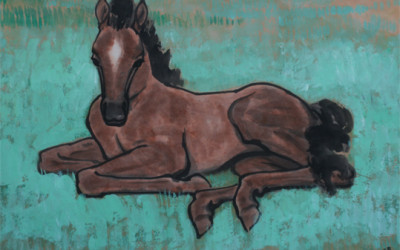 Young Horse