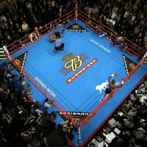 The Executioner Overhead :: Hopkins/De la Hoya, 34x27