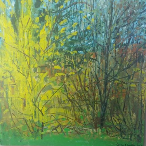 gerry-collins-ForsythiaView from my Studio-30x30oil on canvas